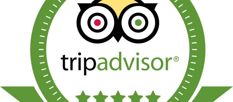 Tripadvisor Logo