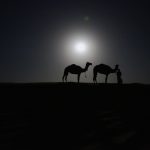 FULL MOON CAMEL RIDE