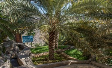 jebel akhdar tour