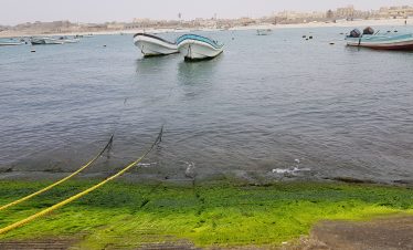 Mirbat Tour Sumhuram