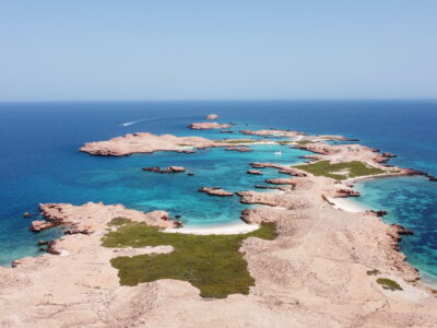 Dive Sites and Ocean Adventures